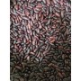 Red Kidney Bean(Rajma) 800g